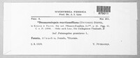 Doassansiopsis hydrophila image